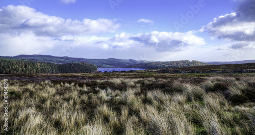 Langsett Moor, Yorkshire photo