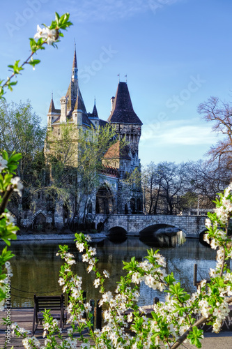 Vajdahunyad castle during spring time in Budapest, Hungary