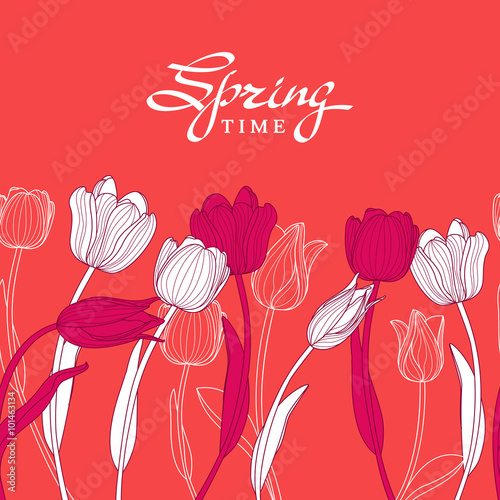Fototapeta Naklejka Na Ścianę i Meble -  Hand drawn white outline tulip flowers on pink background. Vecto
