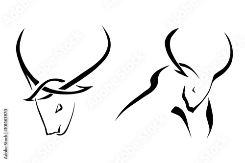 A set of sketches of bulls with large horns isolated on white ba