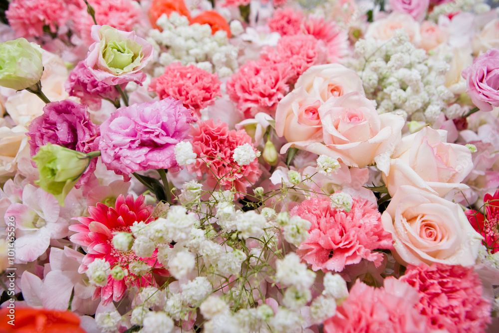 Beautiful flowers background Beautiful flowers background