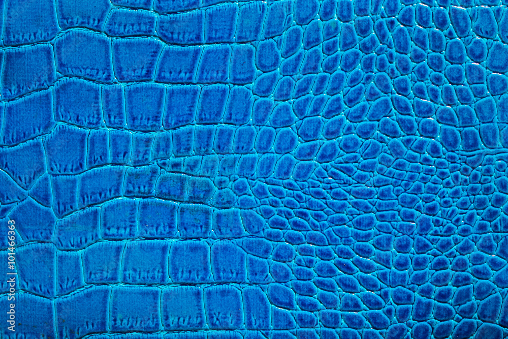 Blue crocodile leather - obrazy, fototapety, plakaty 
