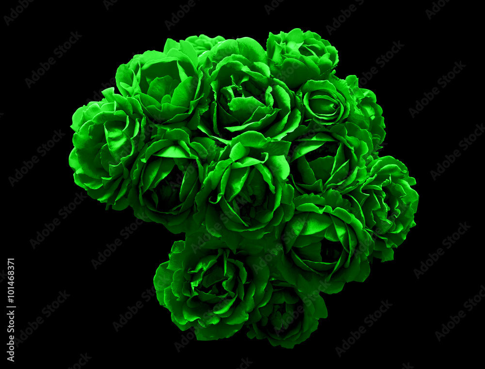 Fototapeta premium Surreal dark chrome bush of green rose flowers macro isolated on black