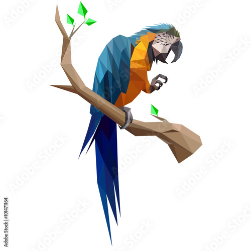 Vector low poly image of a parrot
