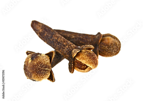 Spice cloves isolated on white background