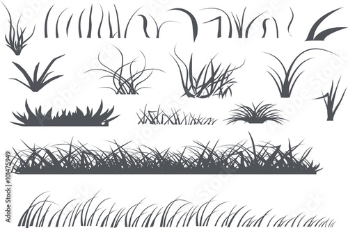 Grass vector silhouette