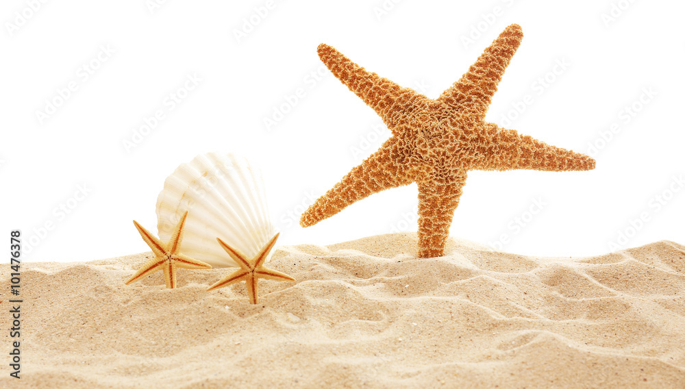 Starfish and shells on sand against white background Starfish and shells on sand against white background