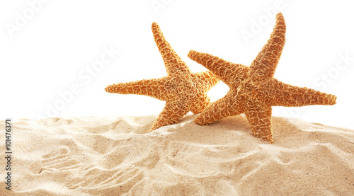 Big beautiful starfishes on sand against white background