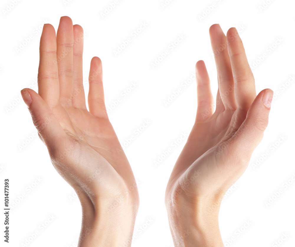 Human hands isolated on white background Human hands isolated on white background