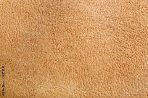 Beige leather texture close up