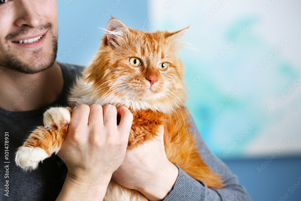 Fotografie Smiling young man holding a fluffy red cat