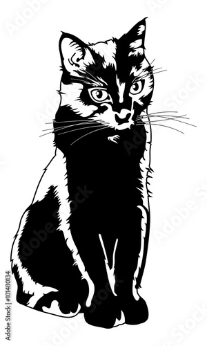 Black cat silhouette isolated on a white background
