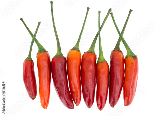Red hot chili peppers isolated on white.