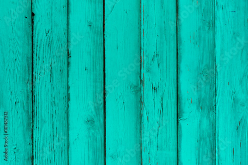 Natural wooden mint boards, wall or fence with knots. Painted turquoise wooden vertical planks. Abstract textured background, empty template