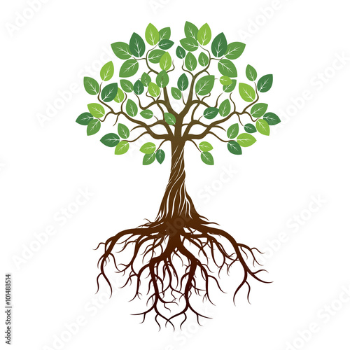Color Tree and Roots. Vector Illustration.
