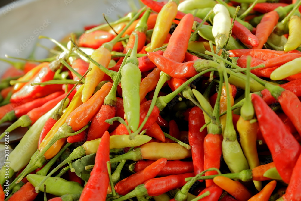goat pepper condiment essential food Thailand goat pepper condiment essential food Thailand