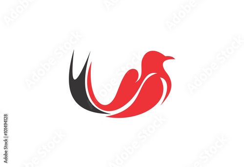 swallow bird illustration design logo