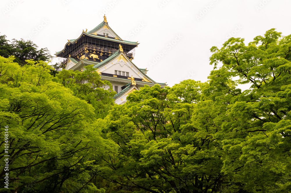 Old castle in Japan. Osaka Japan
