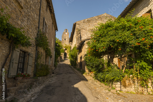Bruniquel (Tarn-et-Garonne  / Languedoc-Roussillon-Midi-Pyréné © Alonbou