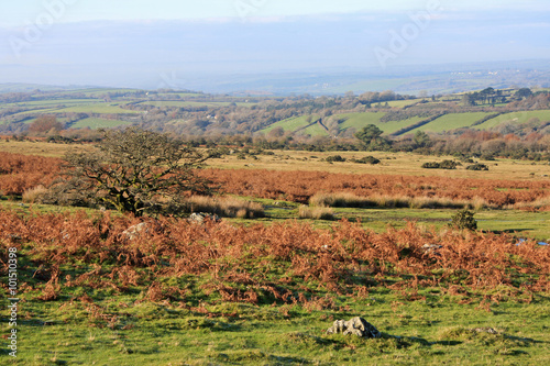 Dartmoor, Devon photo