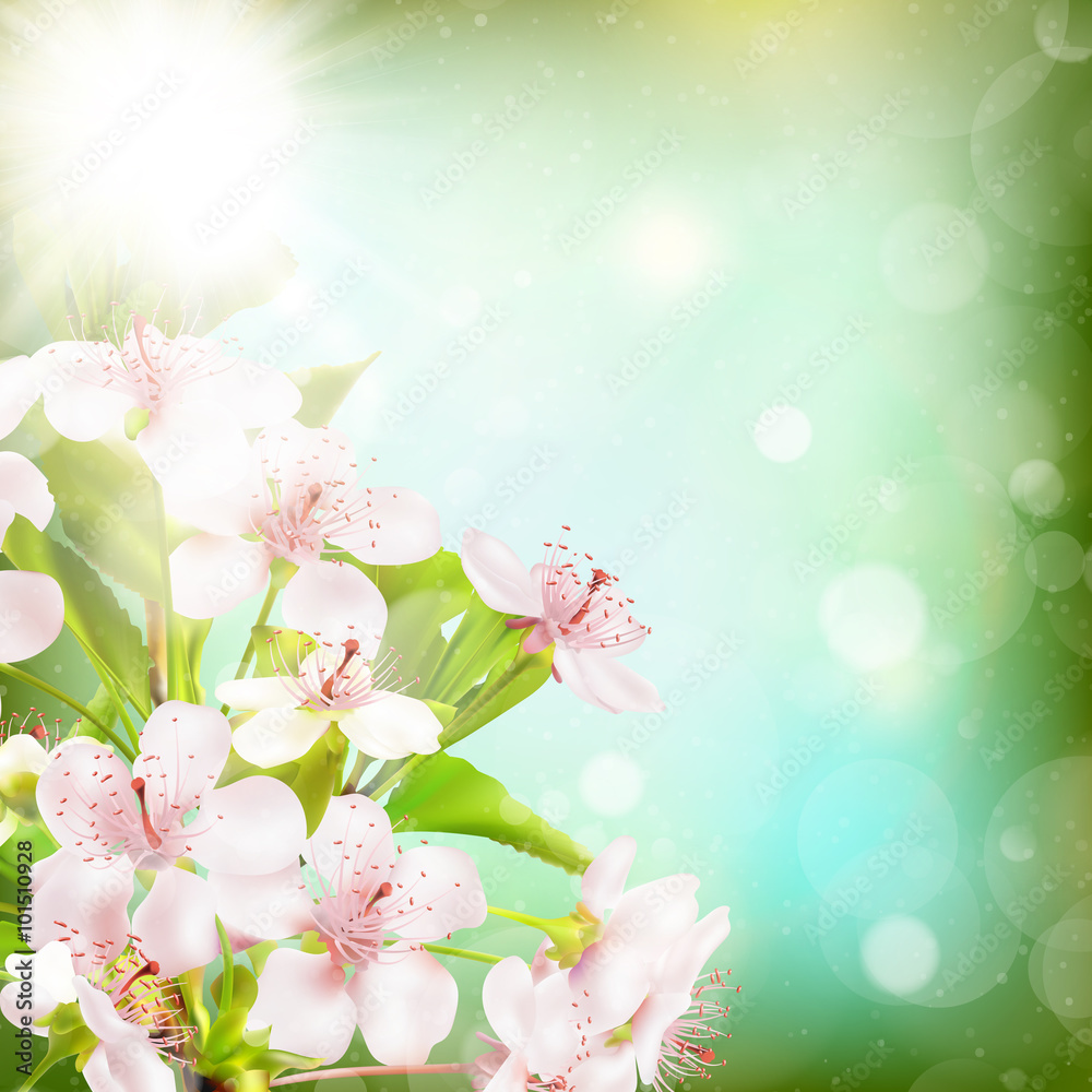 Blossoms against a blue background. EPS 10