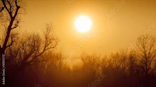 Sunset Time lapse over trees