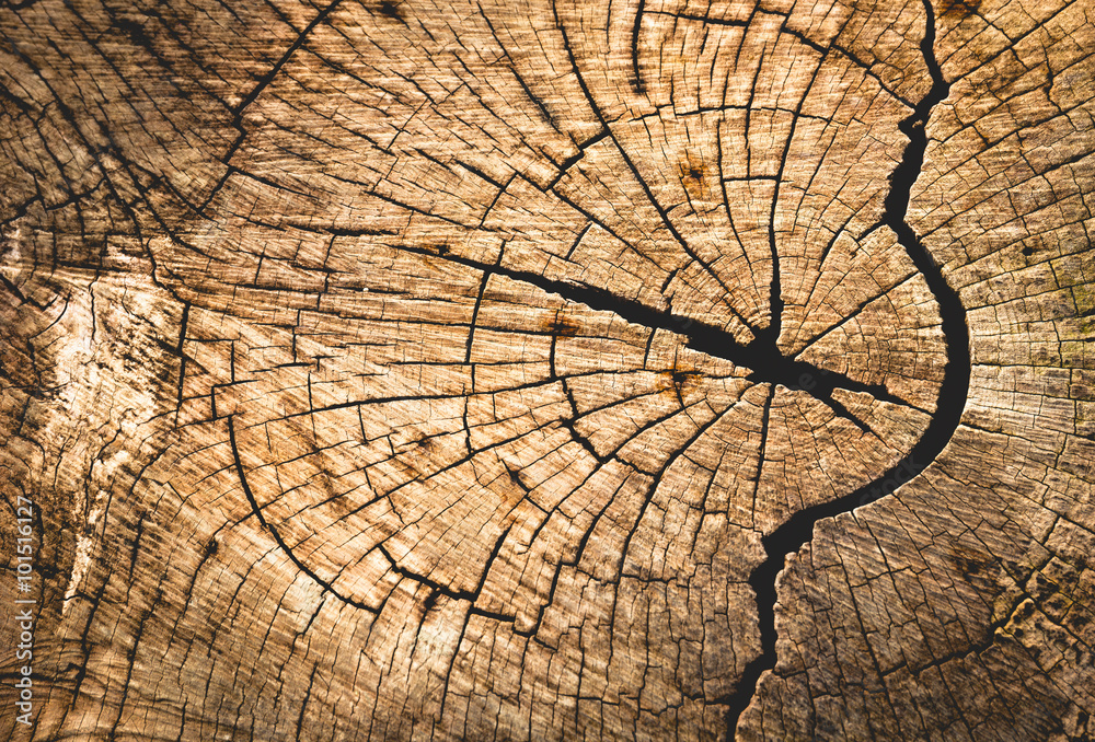 Fototapeta premium Old wood with art wood cracked for background