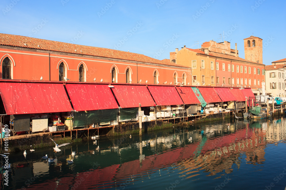 Fish market, Chioggia