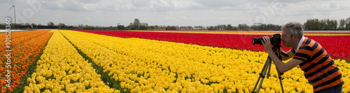 Photographer in a cultivation of tulips photo