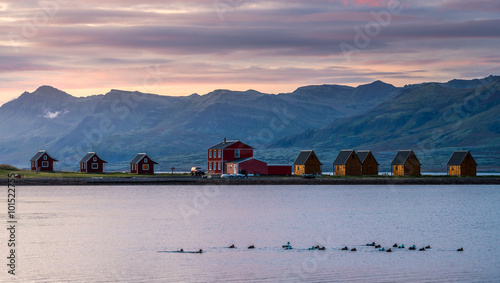 Line of hostel cottage with masses of duck in the sea with mountain range background during sunrise at Eskifjorour Iceland