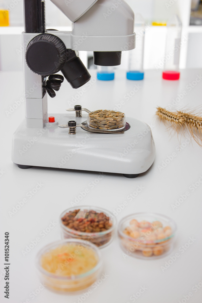 Chemical Laboratory of the Food supply . Food in laboratory, dna modify Chemical Laboratory of the Food supply . Food in laboratory, dna modify