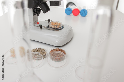 Chemical Laboratory of the Food supply . Food in laboratory, dna modify
