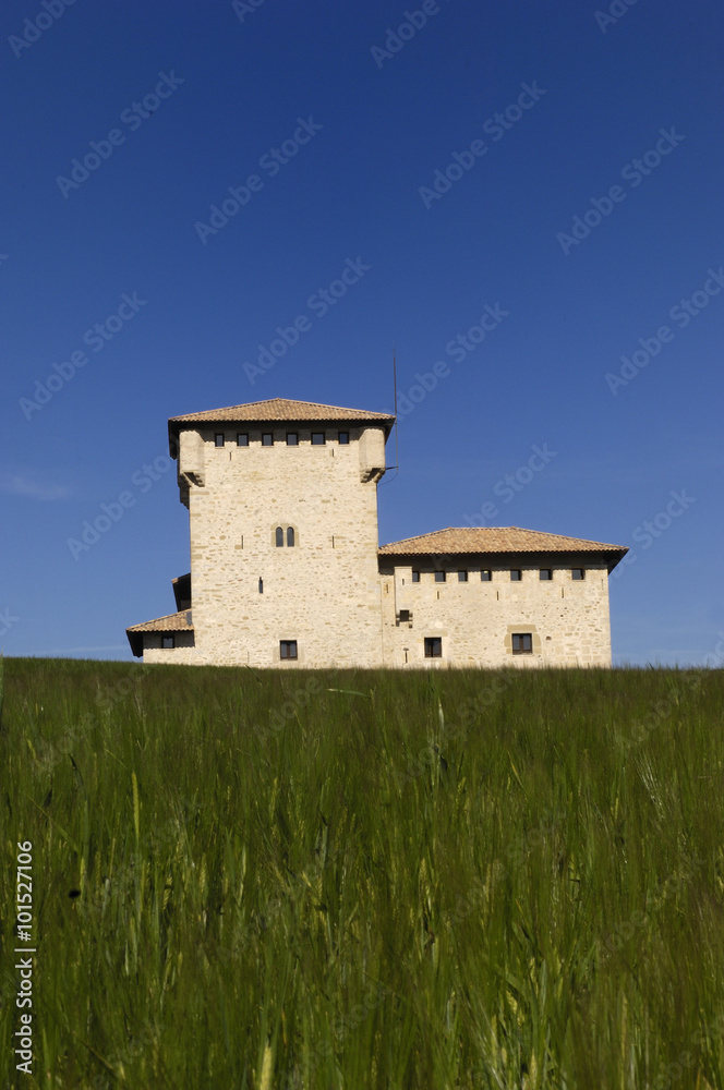 tower “Torreon de Varona,” Villanañe, Alava, Basque Country, Spain