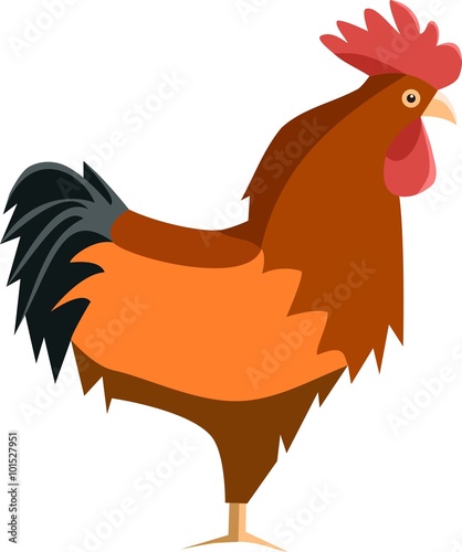 Rooster