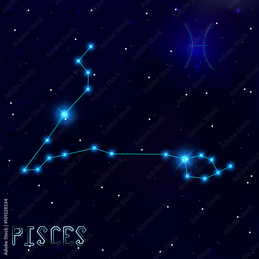 Fototapeta premium The Constellation Of Pisces. Starry sky. Dark blue background of