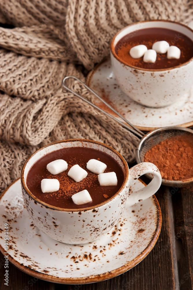 Homemade hot chocolate with marshmallow Homemade hot chocolate with marshmallow