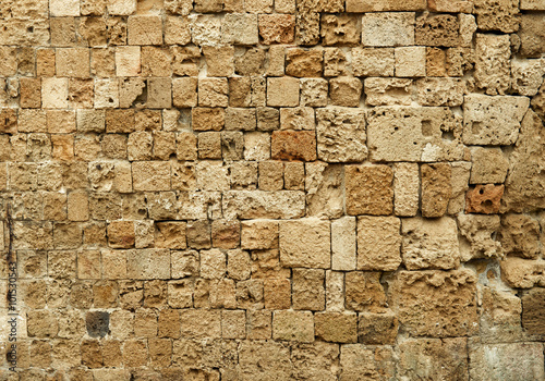 The brick wall texture background