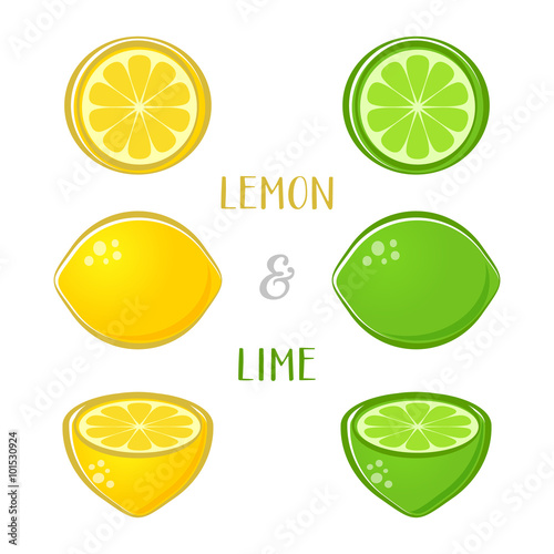 Vector lemon and lime illustrations