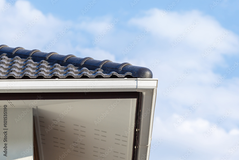 White gutter on the roof top of house