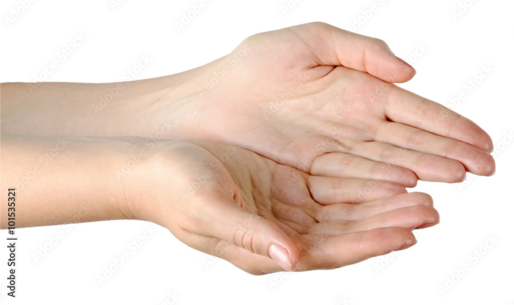 Close up of woman's palms