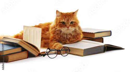 Fotografi Red cat and books isolated on white