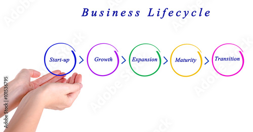 Obraz na plátne Business lifecycle
