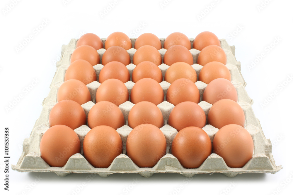 Hen eggs in paper Panel on white background