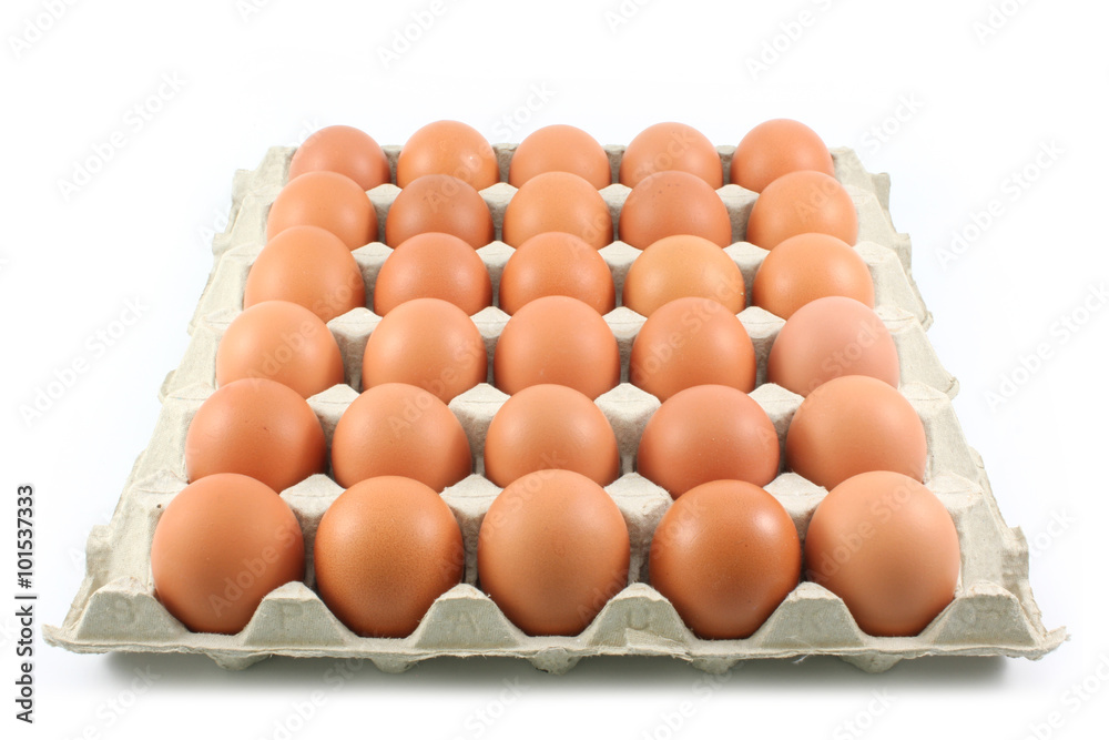 Hen eggs in paper Panel on white background Hen eggs in paper Panel on white background