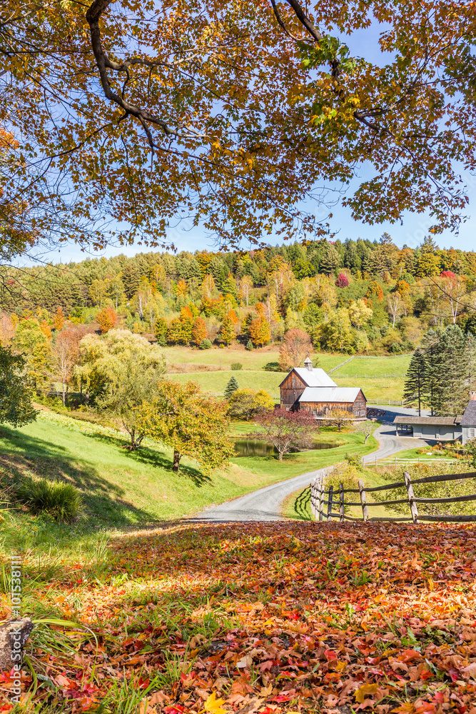 Wooden barn in fall foliage landscape in Vermont countryside
