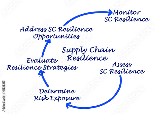 Process of Supply Chain Resilience