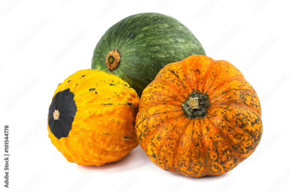 Pumpkin various three colorful