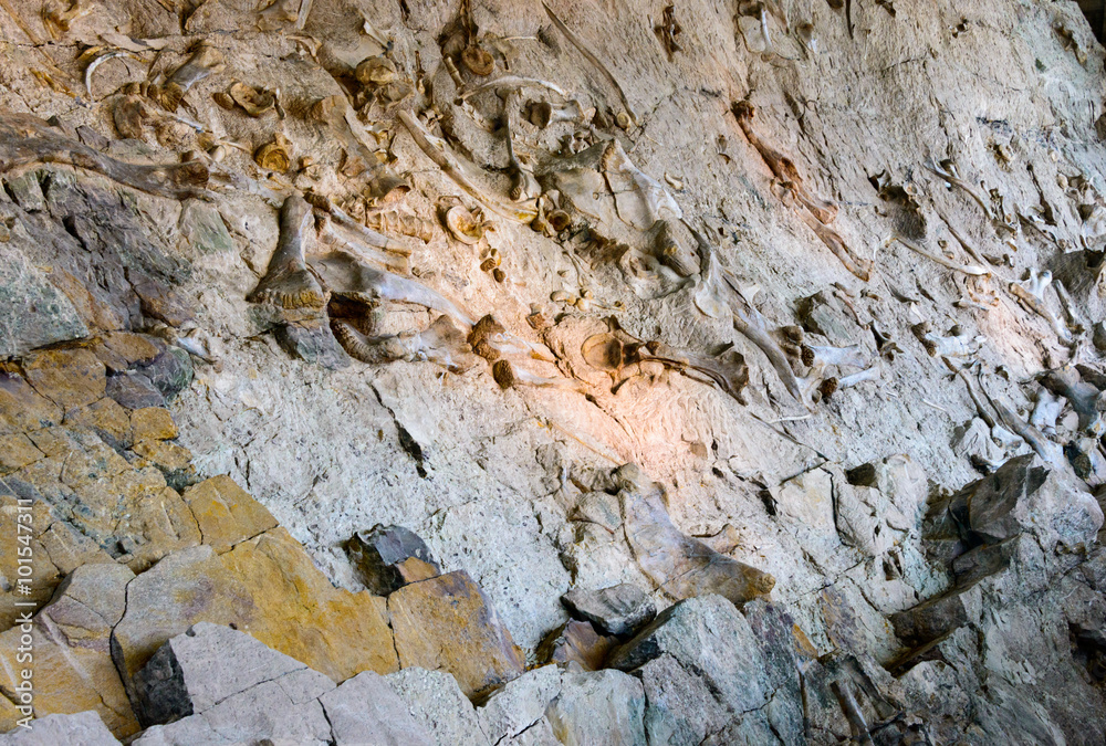 Dinosaur National Monument Dinosaur National Monument