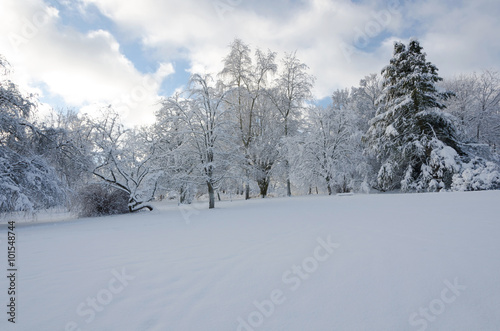 winter in sweden with a lot of snow © balltorp