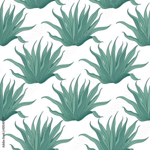 Seamless agave cactus pattern